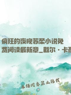 疯狂的夜晚苏柔小说免费阅读最新章